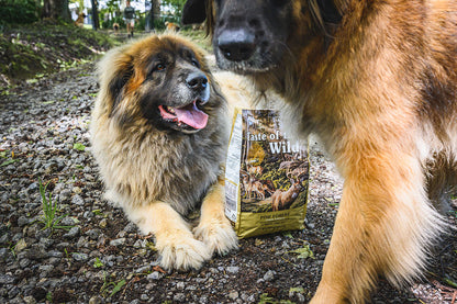 Pine Forest | Canine Formula | 12.20 kg